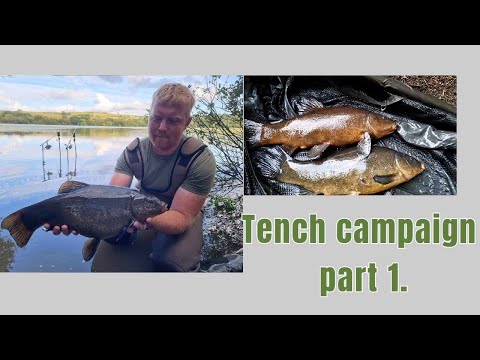 Hunting HUGE Gravel Pit Tench in a Wild Reservoir