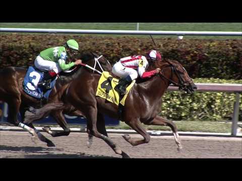 Gulfstream Park Replay Show | February 4, 2017