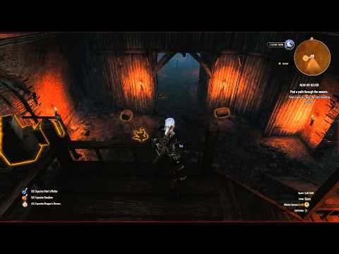 The Witcher 3 Wild Hunt (PC) Cheathrough - Pt. 101