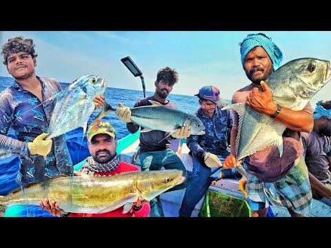 "Wow!! A SMALL FISHING BOAT CATCH BIG FISHES ON THE SEA!!!