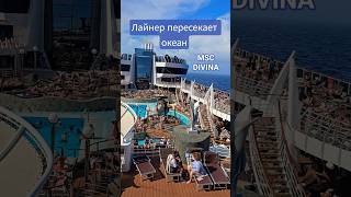 Лайнер пересекает океан #mscdivina #umarkeyn #4k #cruiseship #cruise