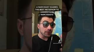 Download lagu The BEST metaphor to understand narcissists! mp3