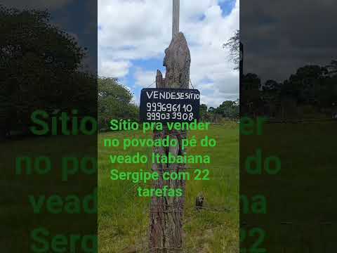 #sítio pra vender no povoado pé do veado Itabaiana Sergipe