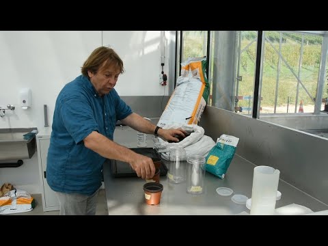 Best4Soil: Compost Quality ET