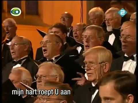 Santo - Ruzanna Nahapetjan