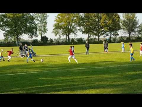 Blauw Geel JO8-1 - Rhode JO9-1