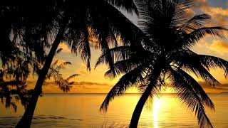 Reflection (Vanessa Mae) - Reflexões 71