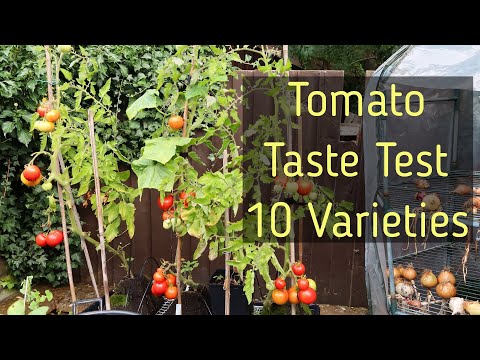 , title : 'Tomato Taste Test - 10 Varieties'