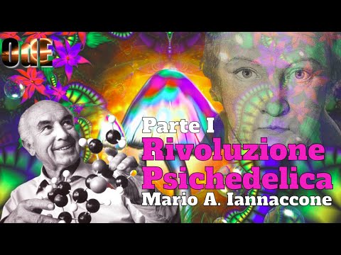 RIVOLUZIONE PSICHEDELICA. DA W. BLAKE ALL'LSD. MARIO ARTURO IANNACCONE