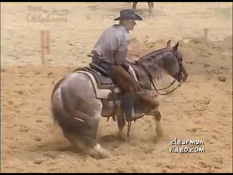 Cavalo com destaque de maior agilidade 2019