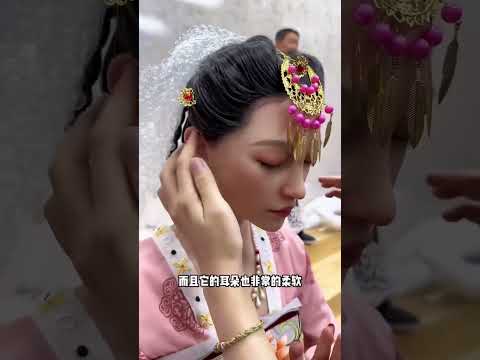 仿真硅胶娃娃等高手伴 成人玩具