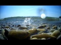 Сочи Море Чайки Закат Видео Турист 