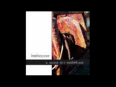 Beehoover - Pioneer