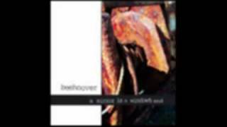 Beehoover - Pioneer