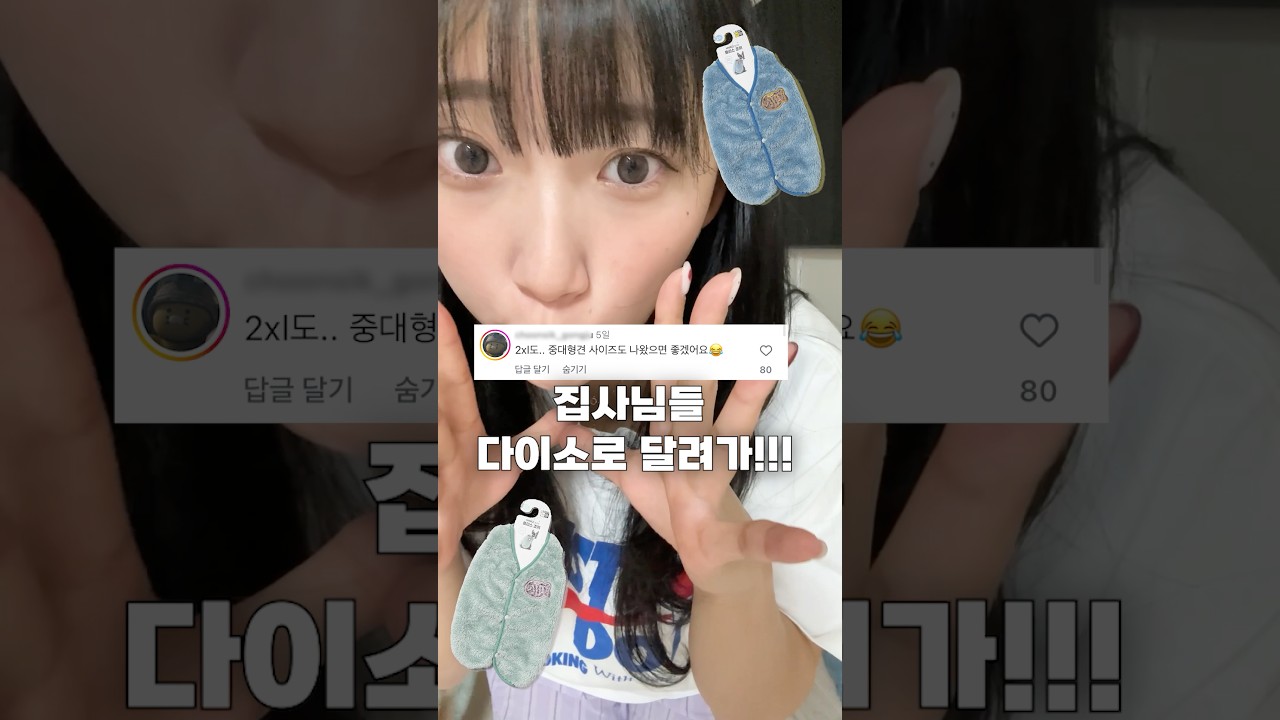 다이소에 중대형견 옷이 있다고⁉️4XL 사이즈 실화??!!!!!!🐶