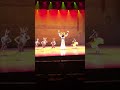 Nutcracker In The Land Of Enchantment : Zozobra