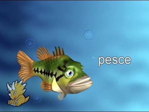 comment construire une phrase en italien