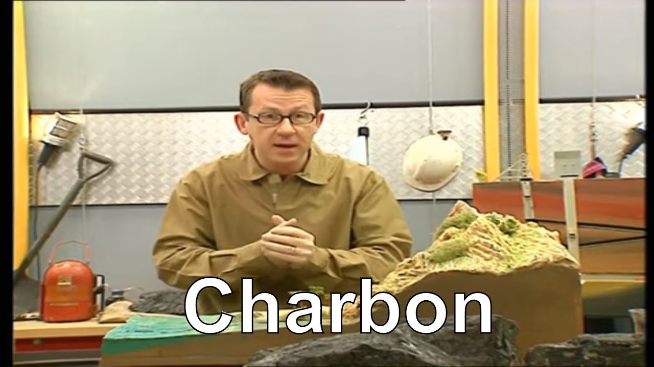 Comment le charbon s'est-il formé ? - C'est pas sorcier