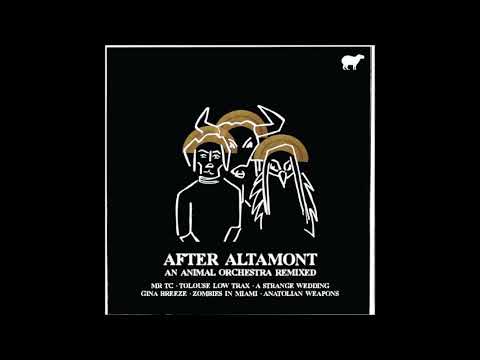 After Altamont - Lost Little Girl feat. Fiona McMartin (Zombies in Miami Remix)