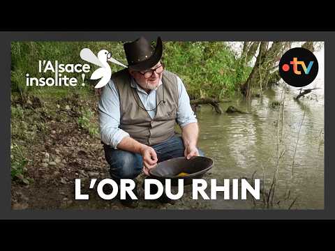 Insolite : des orpailleurs trouvent plus de 500 kilos d'or prélevés dans le Rhin depuis 1750