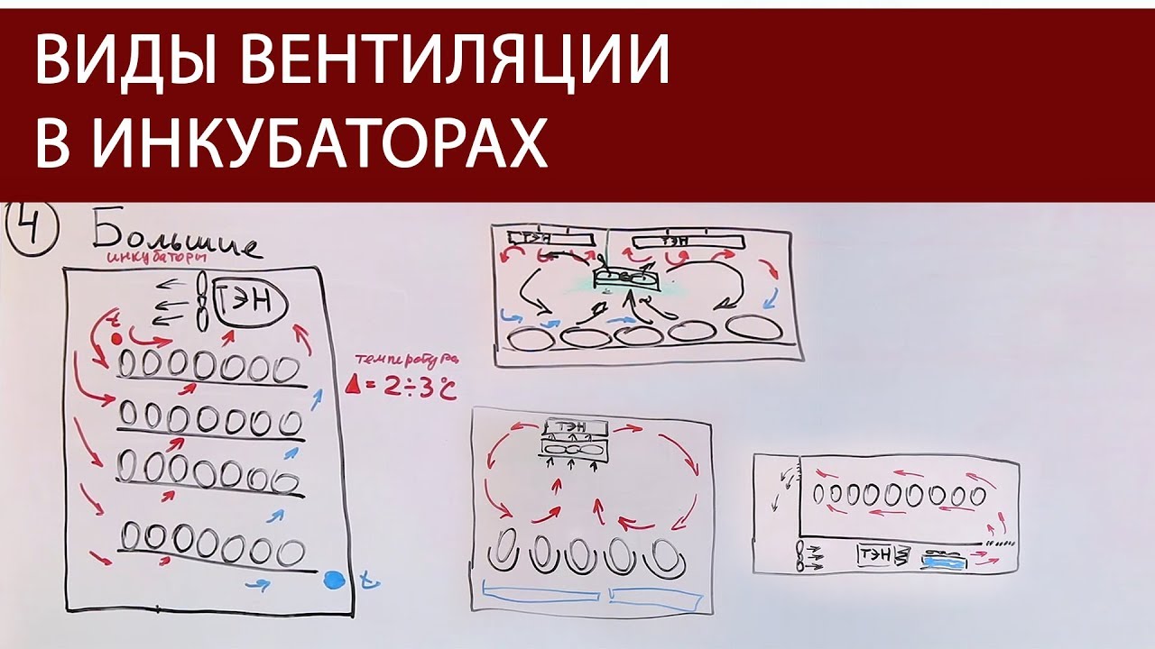 Самодельный инкубатор из холодильника своими руками