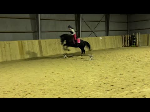 Online banespring - svh 1 (30cm) bane 2