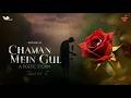 Classical Urdu Ghazal Lyrics Chaman Mein Gul Mir Taqi Mir Timeless Love Poetry