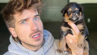 I'm Worried My Puppy Is Too Small!