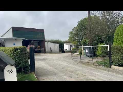 Video 2