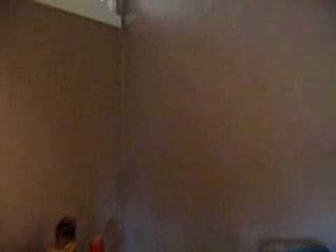 IvarLiving.com 2bedrrom 1 full bath house for rent.