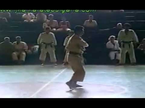 Kakuyoku shodan Asai ryu kata