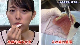 医療法人社団　スガタ歯科医院