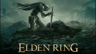 ELDEN RING Tarnished Edition 追加要素の確認枠