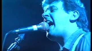 Stiff Little Fingers -- Straw Dogs (DVD - &#39;Stiff Little Fingers: Handheld and Digitally Rigid&#39;)