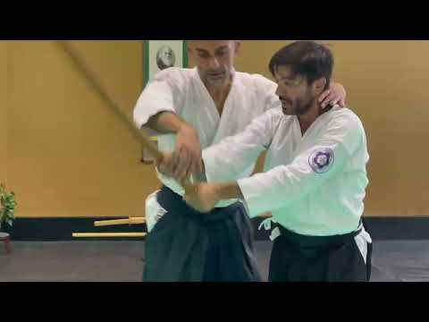 Aikido at WCG - Preparation video / Malta (Kevin Bonanno)