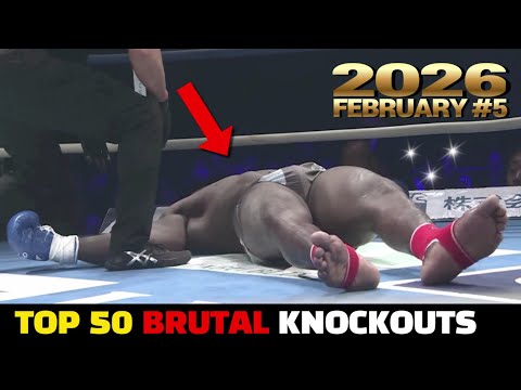 Top 50 Muay Thai & MMA•Kickboing Brutal KO集 | February 2026 #5