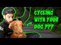 AWESOME DOG BACKPACK CARRIER How To Cycle With Your Dog K9 Backpack