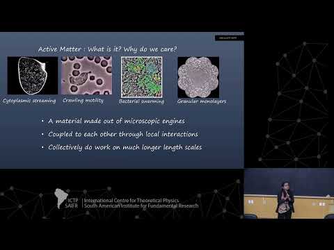 Aparna Baskaran: Theoretical Foundations of Active Matter: Lessons from Ideal... - Class 1