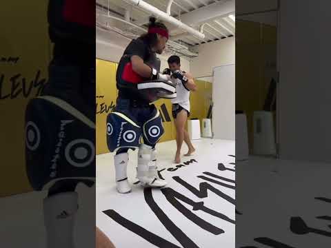 ONE王者　野杁正明のエグいローキック