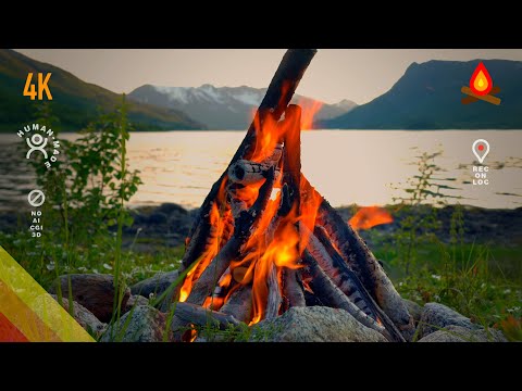 3 AM summer solstice campfire (12 hours – real location)