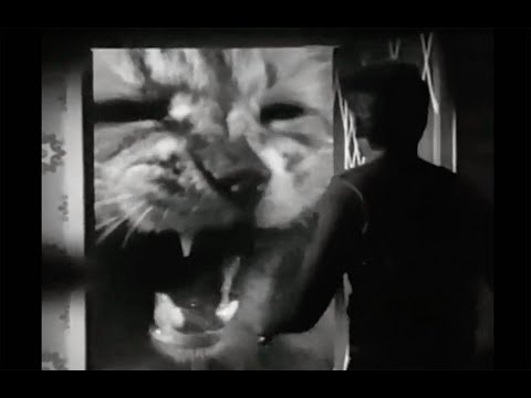 The Incredible Shrinking Man - Jack Arnold (1957)