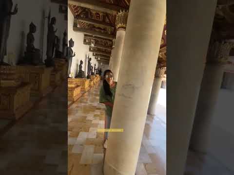 pandian stores serial actress dhanam sujitha recent reel video #shorts #video #reel #ytshorts #bts