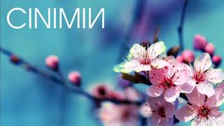 French Montana - Unforgettable (CINIMIN Remix)