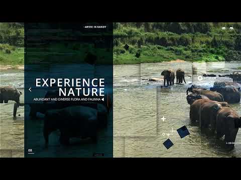 Incoming Global Volunteer Projects | AIESEC in Kandy