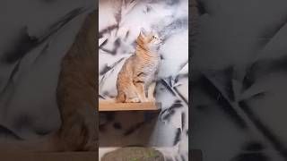 サボってたら急に上司来た