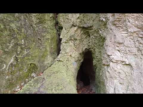 Vállus és környéke: fedezd fel a természet szépségeit!