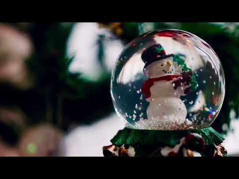 Beethoven   Für Elise 8 Hour Study, Sleep, Relax, Meditation TRAP INDIA