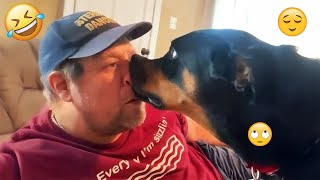 I dare you not to LAUGH at these FUNNY DOGS 😁🦮 - Best Funny Animals Videos 2025 #71