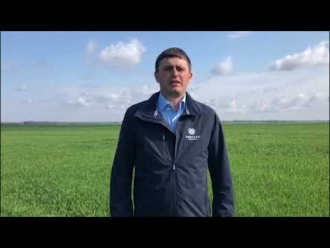 Успішні випускники. Частина 2