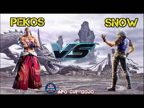 AFO Cup Tekken 7 Japan dojo Snow (Lee) vs Pekos (geese)
